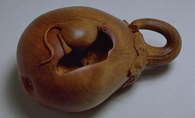 Eggplant & Mouse