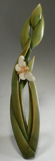 Iris Budding