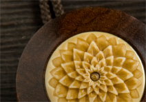 Chrysanthemum