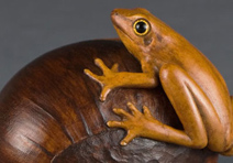 Chestnut and Peeper